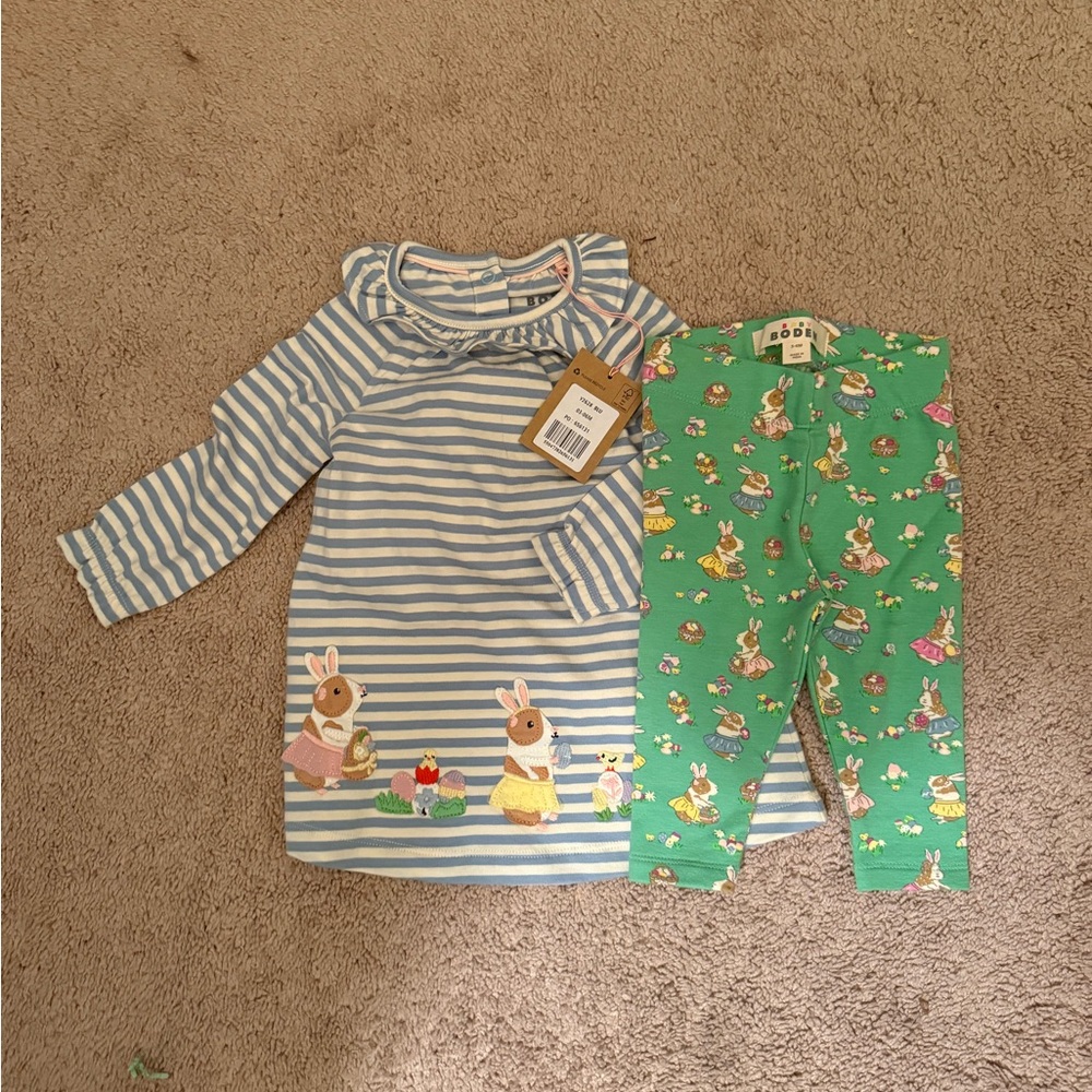 Boden Guinea Pig Dress and Green Leggings Set